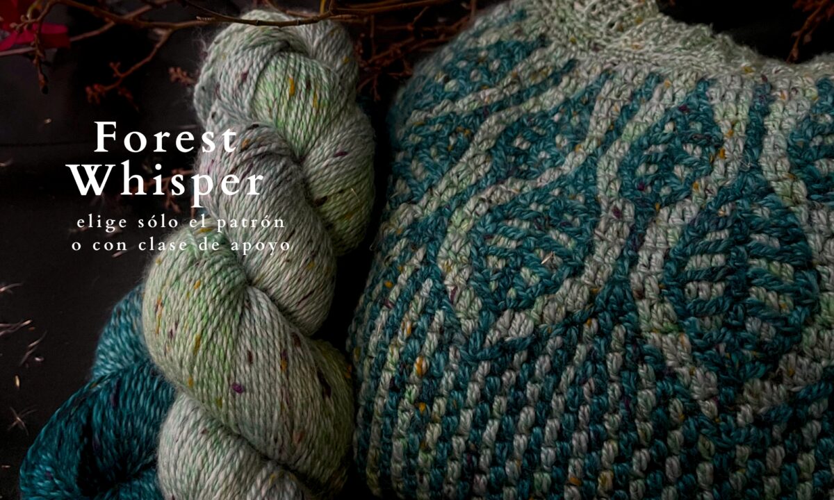 taller online canesu top-down crochet (1)