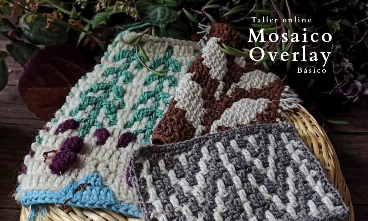 taller online canesu top-down crochet (3)